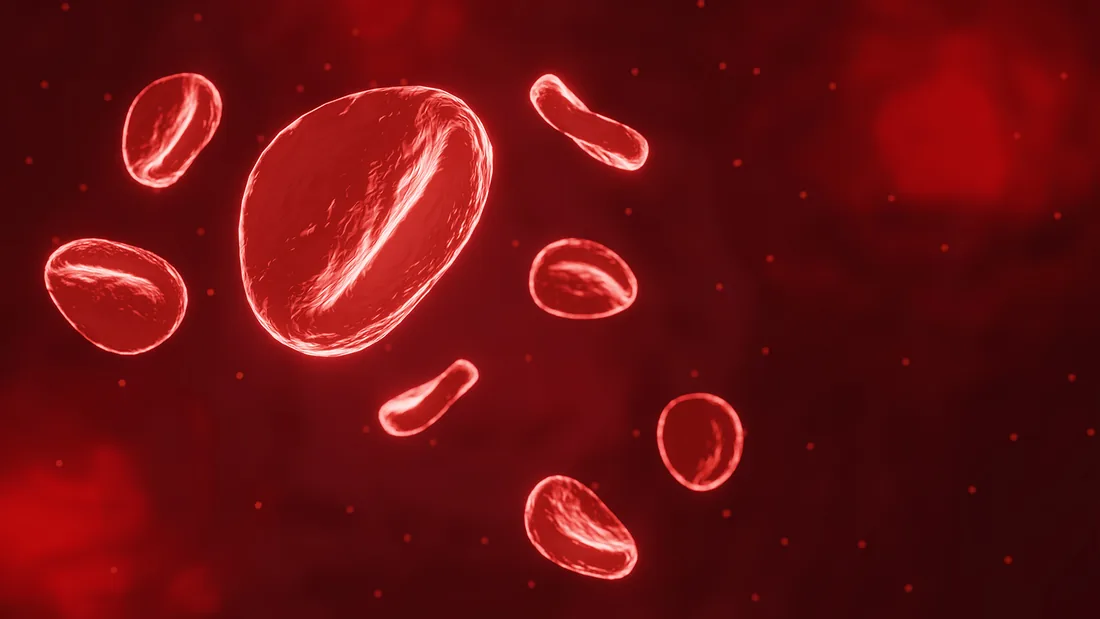 Imagem da publicação: Caracterização molecular da Deficiência da Glicose-6-Fosfato Desidrogenase (G6PD)